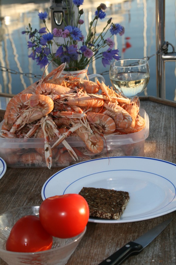 Frischfutter in Vesterø