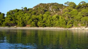 070916-Saplunara 2.JPG