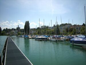 14 Waedenswil Rietliau 2.JPG