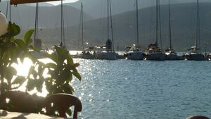 200831-173158 RE DMC-TZ31.JPG