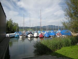 28 Nuolen Seewald 1.JPG