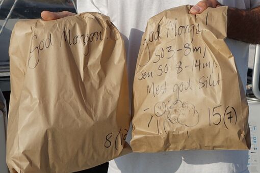 Wetterbericht auf der Brötchentüte