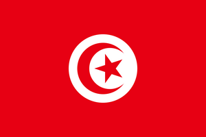 800px-Flag of Tunisia.svg.png