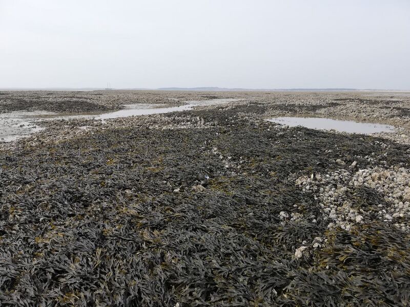 Datei:Auf Richel.jpg