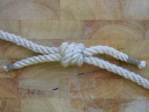 Chirurgenknoten 6.JPG