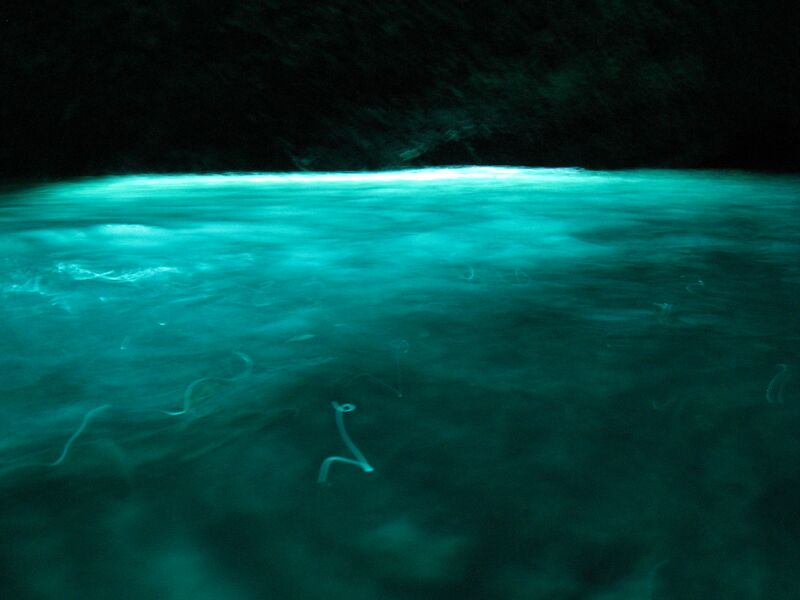 Datei:Cres Zanja Blaue Grotte 2.JPG