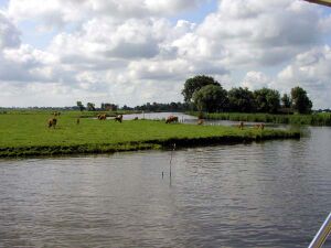 Dokkumer ee viii02.jpg