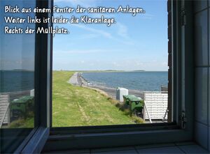 Fensterblick.jpg