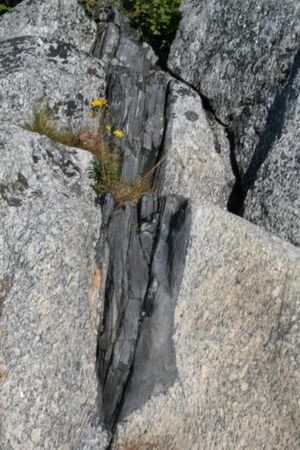 Gute Felsspalten.jpg