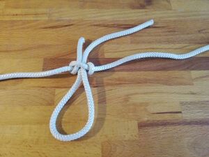 Harnischknoten B03.jpg