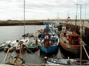 Irland4-Burtoport.JPG
