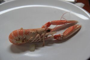 Langustino.jpg