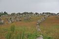 Menhire bei Carnac