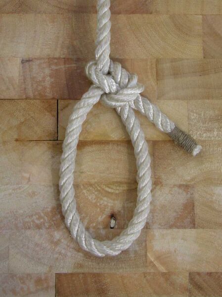 Datei:Palstek A4.jpg