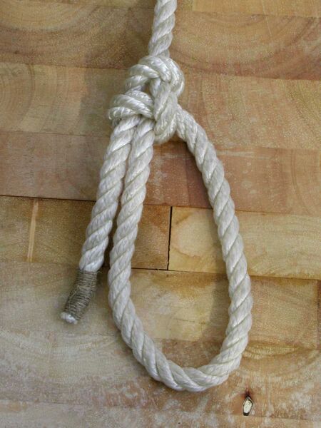 Datei:Palstek A5.jpg