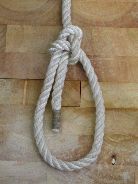 Datei:Palstek I5.jpg