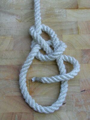 Palstek yosemite 2.JPG