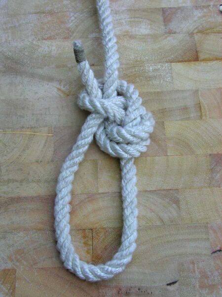 Datei:Palstek yosemite 3.JPG