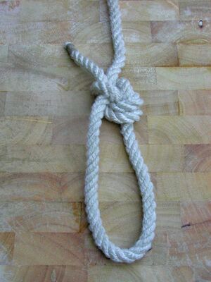 Palstek yosemite 4.JPG