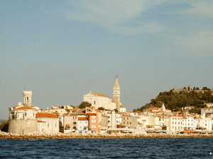 Piran.gif