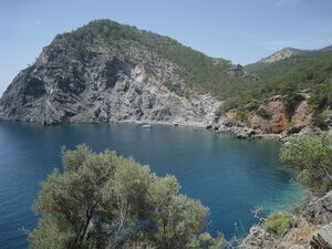 Piratebay IMG 3483.JPG