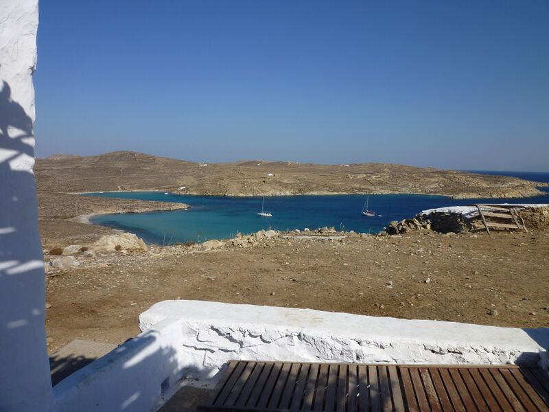 Datei:Rhinea sb.jpeg