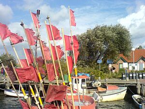 Timmendorf poel fischer.jpg