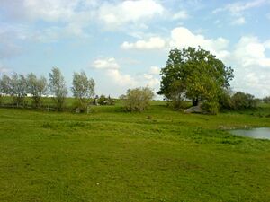 Timmendorf poel landschaft.jpg