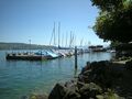 Zürichsee, Hafen Rüschlikon