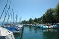 Zürichsee, Hafen Thalwil, Färbeanlage