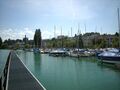 Zürichsee, Hafen Wädenswil Rietliau