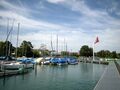 Zürichsee, Hafen Wädenswil Rietliau
