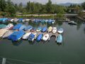 Zürichsee, Hafen Seedamm, Motorboothafen