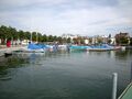Zürichsee, Hafen Lachen
