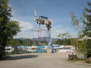 ZS27 Nuolen Kiebitz 1.JPG