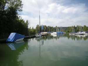 ZS27 Nuolen Kiebitz 2.JPG