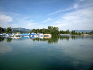 ZS27 Nuolen Kiebitz 3.JPG