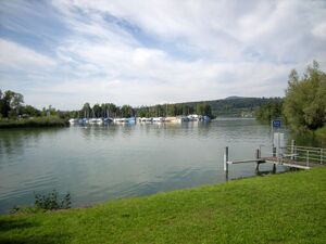 ZS27 Nuolen Kiebitz 4.JPG