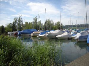 ZS28 Nuolen Seewald 2.JPG