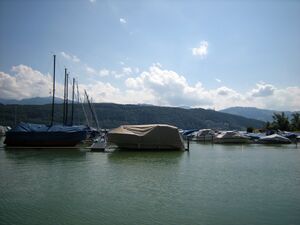 ZS31b Schmerikon Helbling 03.JPG