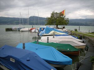 ZS35 Uerikon Laende 1.JPG