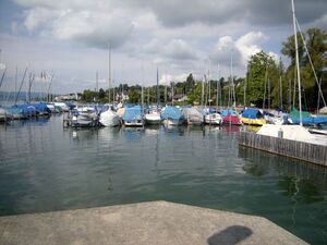 ZS40 Maennedorf Weieren 5.JPG