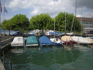 ZS41 Uetikon Chemische Fabrik 7.JPG