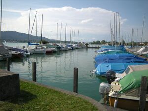 ZS50 Tiefenbrunnen 3.JPG