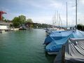 Zürichsee, Hafen Zürich Tiefenbrunnen