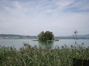 ZS Insel Schoenenwerd.JPG